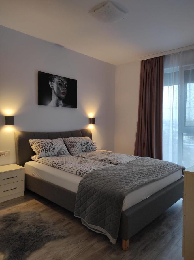 Armony Apartament ทิมิชัวรา ภายนอก รูปภาพ